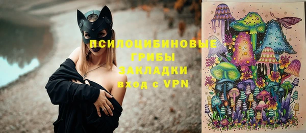 соль курить ск Белокуриха