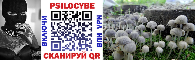 Галлюциногенные грибы ЛСД  Бородино 