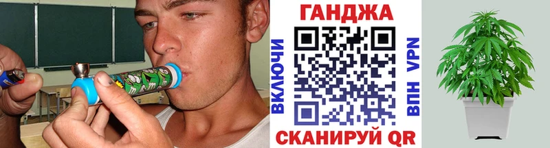 Конопля план  купить   Бородино 